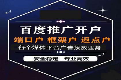 谷歌SEM案例研究：数据分析与效果评估
